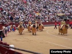 Шествие пикадоров.