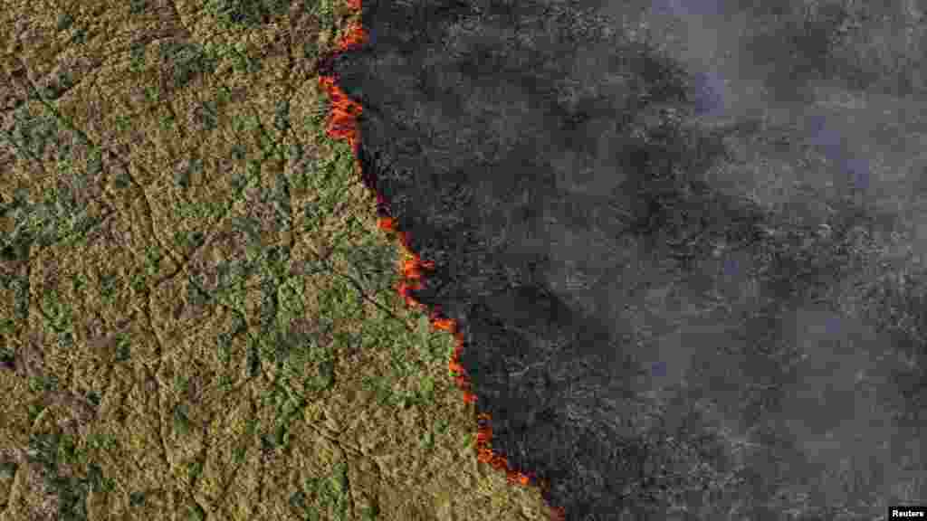 A Pantanal vizes élőhely, nagyjából tízszer akkora, mint a floridai Everglades, jaguárok, tapírok, kajmánok, anakondák és óriás hangyászölyvek otthona. A tavaly év vége óta tartó gyenge esőzések megzavarták a szokásos szezonális áradást, így a régió nagyobb része tűzveszélyes. &bdquo;A legaggasztóbb az, hogy még az esős évszakban is megnőtt a tüzek száma&rdquo;&nbsp;&ndash; mondta Silgueiro