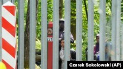 Migránsok a határkerítés belarusz oldalán, a Białowieża-erdőben 2024. május 29-én