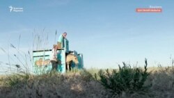 Еуропадан Арқалыққа жеті керқұлан жеткізілді