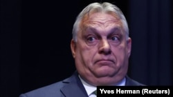 Hungarian Prime Minister Viktor Orban said victory in the elections "is needed" and predicted that Fidesz would receive "reinforcements" from every European country and be able to form a pro-peace European coalition in Brussels.