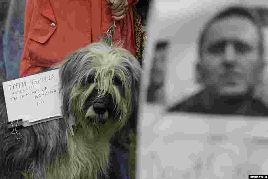 Printre participanţi există şi persoane care au declarat că sunt cetăţeni ruşi care se opun regimului condus de Vladimir Putin.&nbsp;