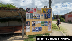 Pe panourile electorale din Plenița își fac reclamă candidații la alegerile locale și județene.