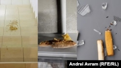 Mizeria lăsată de unii locatari în spațiile comune poate aduce amenzi și de 10.000 de lei.