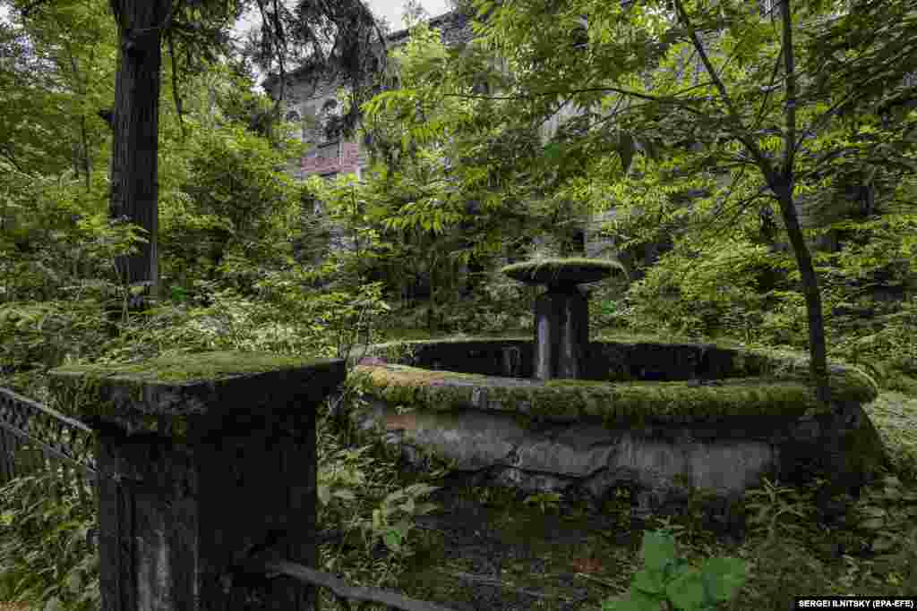 შადრევანი მიტოვებული შენობის ეზოში.