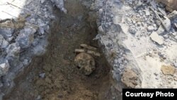 Ostaci neidentifikovane osobe pronađeni u dvorištu porodične kuće u Brčkom, Bosna i Herceegovina, 26. septembar 2023.