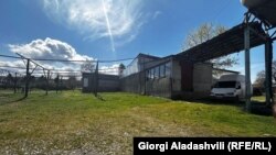 ფერმა კახეთში