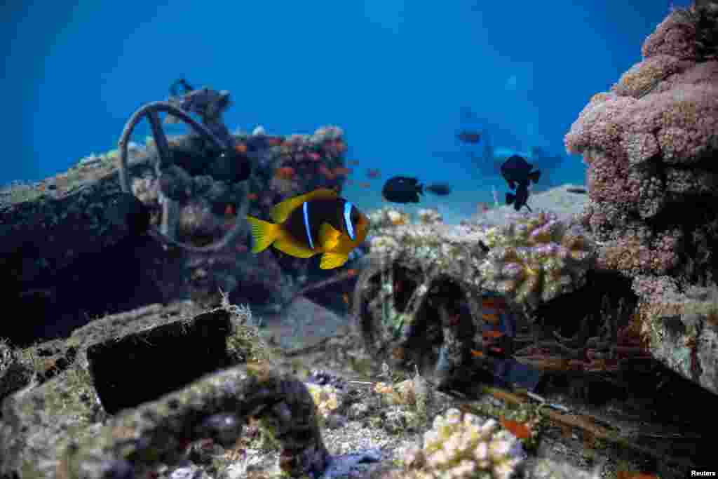 Turizam u Akabi se počeo razvijazi još 1965. godine, kada je tadašnji kralj Jordana Husein napravio sporazum sa Saudijskom Arabijom u kojoj će on predati 6.000 kvadratnih metara pustinje za 12 kilometara obale Crvenog mora. ​​​​​Zabilježeno: 7. maja 2024.