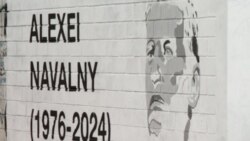Pictură murală în cinstea lui Alexei Navalnîi în Argentina. Poliția a intervenit