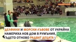 "Повече колеги". Делфини бежанци от Украйна радват деца в Румъния
