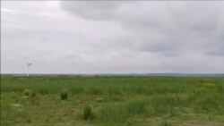 A Fertő tó partja 2024. május 31-én