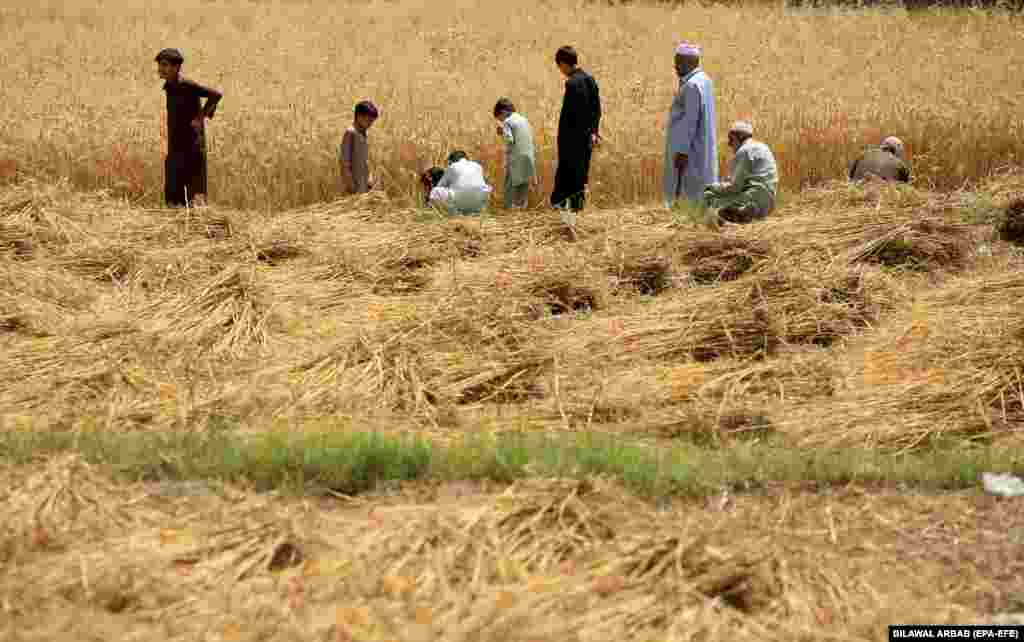 Banka Qendrore e Pakistanit rriti normën bazë të interesit për 100 pikë bazë - në 21 për qind, më 4 prill, duke i çuar kostot e huamarrjes në nivelin më të lartë që nga viti 1992. &nbsp;