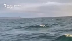 Со брод до Аљаска: како двајца Руси избегаа од мобилизација