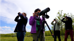 Păsările sălbatice, prin binoclul inspectorilor de mediu