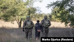 Žandarmerija Srbije privodi osumnjičenog na granici sa Mađarskom, novembar 2023. 