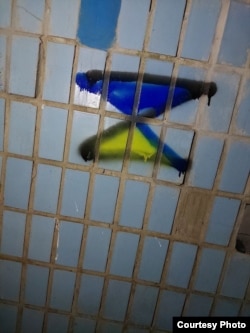 "ყვითელი ლენტის" აქტივისტების გრაფიტი რუსეთის მიერ ოკუპირებულ მელიტოპოლში