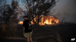 илустрација