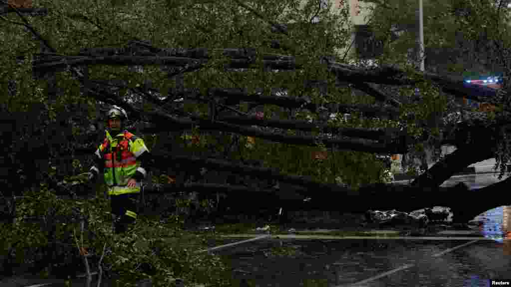 Egy mentős egy kidőlt fa mellett, amely megölt egy nőt a Ciarán vihar idején Madrid központjában 2023. november 2-án. A spanyol fővárosban egy kidőlő fa megölt egy huszonhárom éves nőt, aki a belvárosban kelt át az úton. A kidőlő fák veszélye miatt a spanyol fővárosban az összes közparkot lezárták