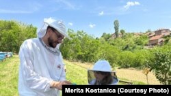 Rozi Ukaj, duke mësuar për bletët në bletarinë në "Korr e Ha n'Katun" në Krushë të Madhe.