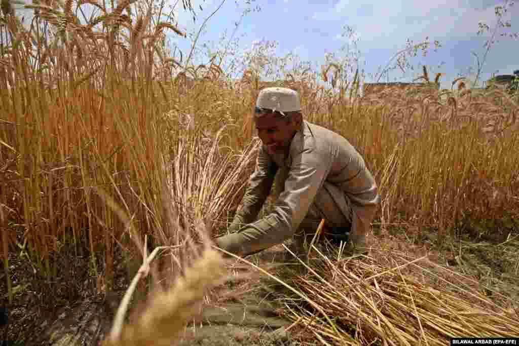 Çmimet e ushqimeve ishin veçse të larta kur Rusia pushtoi Ukrainën në shkurt të vitit të kaluar, duke ndërprerë tregtinë e drithërave dhe plehrave, dhe duke i rritur çmimet edhe më shumë. Por, në shkallë globale kjo rritje e çmimeve përfundoi kohë më parë. &nbsp;