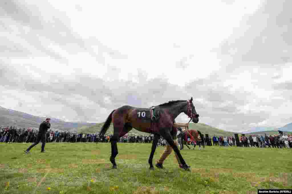 Para nisjes së garës, pjesëmarrësit prezantuan kuajt e tyre para qindra qytetarëve që u mblodhën në Mejdan për të ndjekur garën. &nbsp;
