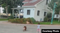 Roni és Modzso szabadulásuk után