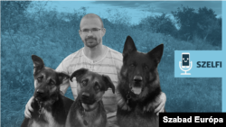 Kocsis Gábor és kutyái