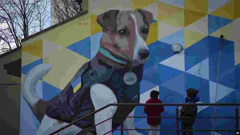 Egy másik falon egy legendás Jack Russell terrier, Patron lett megörökítve egy városi parkban. A négyéves kutya arról híres, hogy az északi Csernyihivi területen segédkezett az aknamentesítésben, majd az ukrán mentőszolgálat kabalája lett. Zelenszkij elnök állami kitüntetést adott neki, az UNICEF pedig az első jószolgálati nagyköveti kutyaként&nbsp;ismerte el