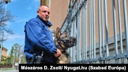 Egy kutyás őr kívülről biztosítja a helyszínt