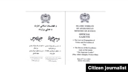 قانون امر به معروف طالبان که در ماه اگست منتشر شد، هار فصل و ۳۵ ماده دارد.