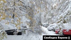 Много коли бяха затрупани от дървета - жк "Илинден" в София