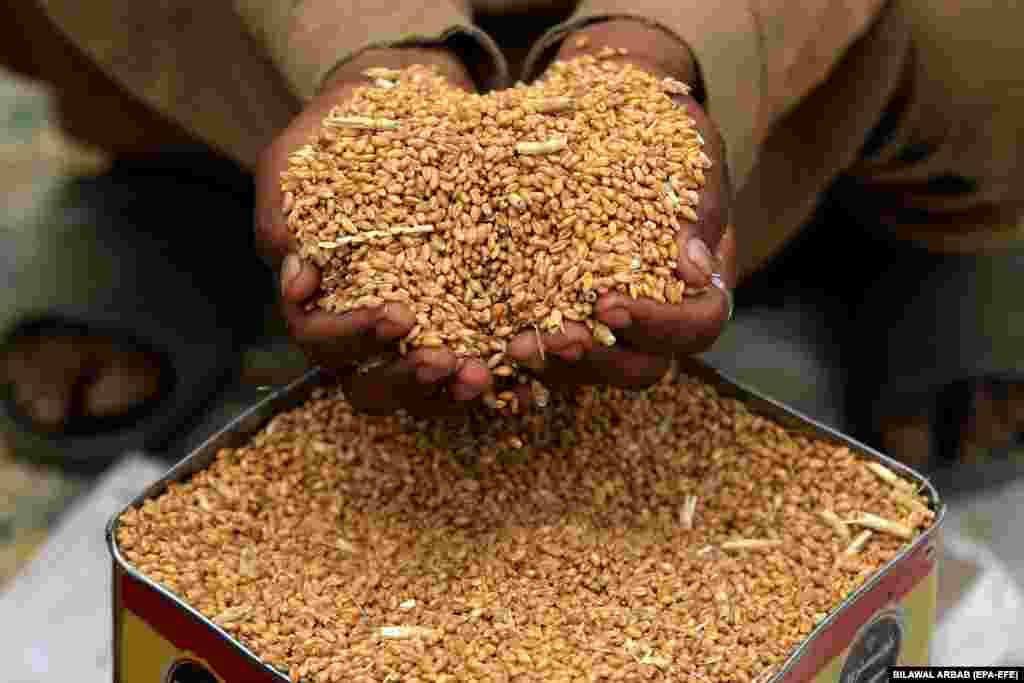 Megjithëse Pakistani renditet ndër 10 vendet më të mëdha prodhuese të grurit, inflacioni ka shkatërruar fuqinë blerëse me rup, duke rezultuar në çmime rekord për perimet, fasulet, orizin dhe grurin. &nbsp;
