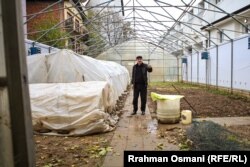 Islam Kuleta duke punuar në serën e Shtëpisë së të Moshuarve, ku edhe jeton.