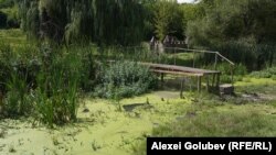 Râul Cubolta în satul Plop, raionul Dondușeni.