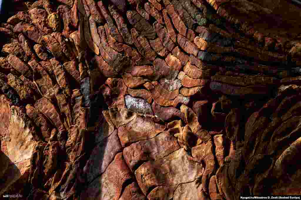 Schrammel az agyag sajátosságait használta ki, kézzel-lábbal gyúrt technikával dolgozott, organikus formákat jelenített meg.&nbsp;A magyar oldalon Schrammel Imre két műve, az osztrák oldalon a Kecskeméti&ndash;Kovács-páros kerámiáit helyezték el. Az egyik a zárt világot, a másik a szabadságot jeleníti meg.&nbsp;Nem kis kockázatot vállaltak a művészek a rendszerváltás előtt ezekkel a földreliefekkel, hiszen ha a tervek elbírálói rájöttek volna, hogy milyen szimbólumrendszert használnak az alkotók, akkor a domborművek soha nem kerülhettek volna fel a falakra.