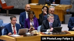 Željko Komšić (desno), član Predsjedništva BiH i Ivan Šimonović (lijevo), ambasador Hrvatske pri UN, u Savjetu bezbjednosti, Njujork, SAD, 2. november 2023.