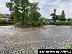 A kiszáradt nagykőrősi csónakázótó. A félhektáros tóban még néhány hónapja pontyot, csukát és keszeget is lehetett fogni