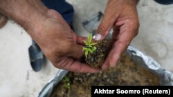 илустрација