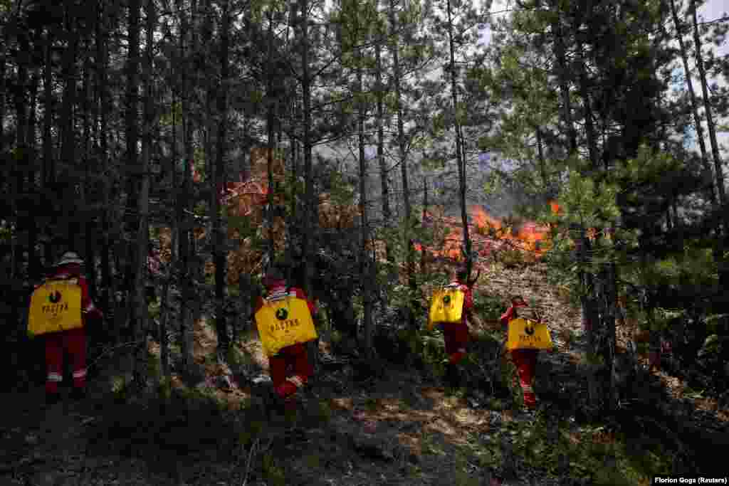 Një valë brutale e të nxehtit, me temperatura mbi 40 gradë celsius, ka përfshirë jugun e Evropës javën e kaluar.