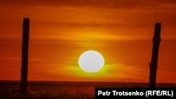 Центр реинтродукции АСБК, где ученые восстанавливают популяцию куланов. Костанайская область, 21 июня 2022 года