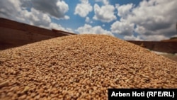 Grurë i sapokorrur në Kosovë, më 2022.