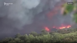 Helikopterët shuajnë flakët pyjore në Slloveni dhe në Shqipëri