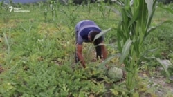 გია ლუხიშვილი