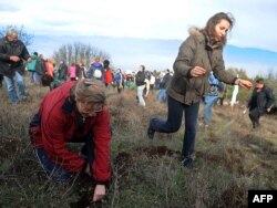 Fákat ültetnek az emberek Szkopje közelében, 2010. november 19-én. Az akkor még Macedóniának nevezett mai Észak-Macedónia lakosai hét millió fa telepítését célozták meg, hogy elősegítsék erdőik megerősödését. 2008 óta több mint 20 millió fát telepítettek az évente kétszer megtartott ültetések során