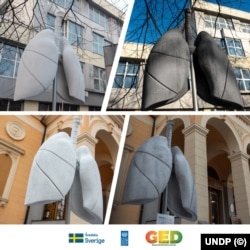 U Sarajevu u januaru 2022. provedena kampanja "Pluća grada"