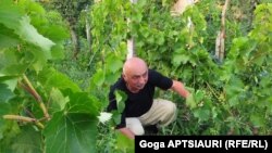 ზაურ ზუბაშვილი