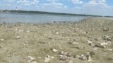 Seceta a scăzut nivelul Dunării între Beocin și Futog, Serbia, 4 august 2022