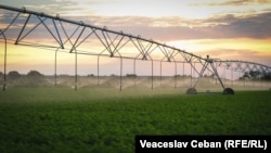 Sistem de irigare renovat, la Varnița, august 2022.