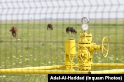 A Romgaz nem kívánt válaszolni a Szabad Európa azon kérdésére, hogy miért termeltek ki eddig ilyen keveset