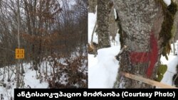 ანტისაოკუპაციო მოძრაობის მიერ გავრცელებული ფოტომასალა